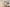  - Blomstermarken 111, 1. mf
