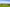 - Blegdalsparken 51, 2. tv